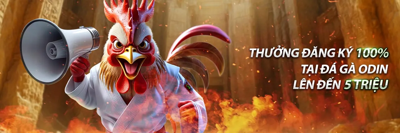 Đá Gà Trực Tuyến 77loc win