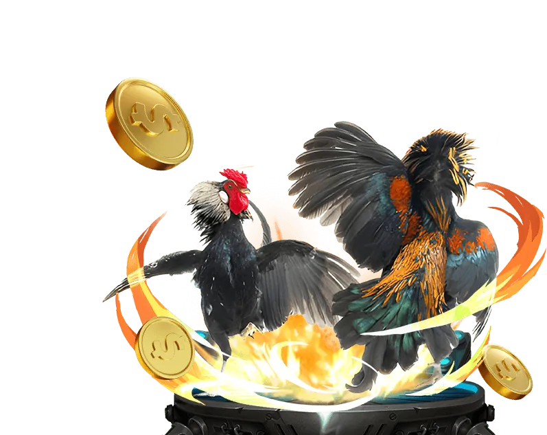 Giao diện cá cược đá gà 77loc win